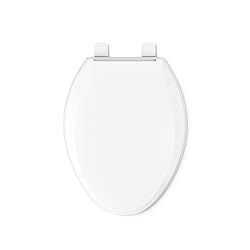 Kohler Recycled Plastic Soft Close Toilet