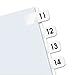 Redi-Tag - Side-Mount Self-Stick Plastic Index Tabs Nos 11-20, 1 inch, White, 104/Pack 31002 (DMi PK