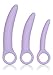 CalExotics Dr Laura Berman Intimate Basics Alena - 3 Piece Silicone Dilators Set With Ergonomic Finger Loop - Waterproof Fetish Sex Toys for Women - Purple