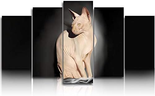 Large Walll Art on Canvas Oil Painting Artworks for Wall Decor,Sphynx Cat Animal Pictures Paintings for Living Room Bedroom 5 Panels Modern Giclee Artwork Stretched and Framed Ready to Hang