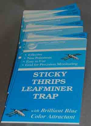 Sticky Thrip Leafminer Traps