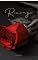 Livro Revenge