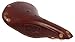 Brooks England B17 Special, Handmade Leather Bike Saddle With Hand-hammered Copper Rivets, Brown, One Size