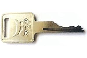 DTTRA Bobcat Ignition Key for Skid BEAUTY MACHINE Renacuajo