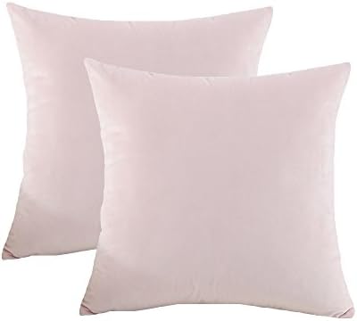 BLUETTEK Solid Velvet Throw Pillow Covers, Super Soft Luxury Home Decorative Twin Sides Pillow Cases (22 Inch x 22 Inch, Light Pink-1 Pair)