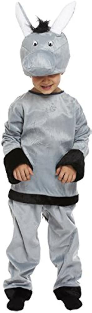 nativity fancy dress costumes