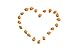 Apricot Kernels/Seeds (2 Pounds / 908 grams) Hunza Gold Bitter Certified Organic Raw