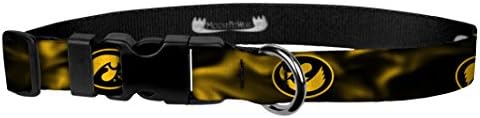 Moose Pet Wear Moose Racing Dog Collar – University of Iowa Hawkeyes Adjustable Pet Collars, Made in The USA – 1" Wide, Medium, Gold Smoke Hawk