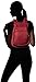 Pacsafe Citysafe CS300 Anti-Theft Compact Backpack, Cranberry