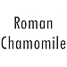 Healing Solutions Roman Chamomile Essential Oil – 10ml (0.33 fl oz) – Chamomile Oil