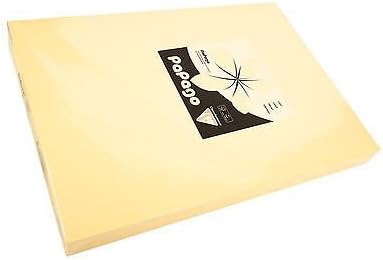 160 gsm A4 PAPAGO printer copier paper x 500 sheets - 2 Reams of 250 sheets - CHAMOIS