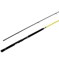 Lew de Mr. Crappie Slab papá 2 piezas caña de pescar