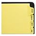 Preprinted Laminated Tab Dividers with Gold Reinforced Binding Edge, 12-Tab, Jan. to Dec., 11 x 8.5, Buff, 1 Set