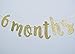 6 Months Banner Sign for 1/2 Birthday Garland Baby Shower Birthday Party Decor Cursive Bunting Decorations Gold Glitter