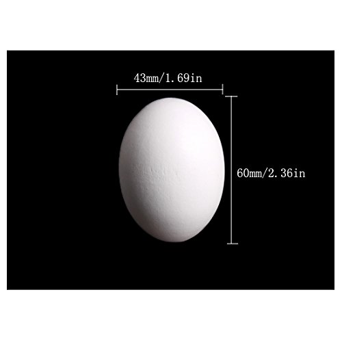 Andux Pack of 6 Easter Eggs Wooden Fake Eggs DIY Painting for Easter Christmas MZJJD-01