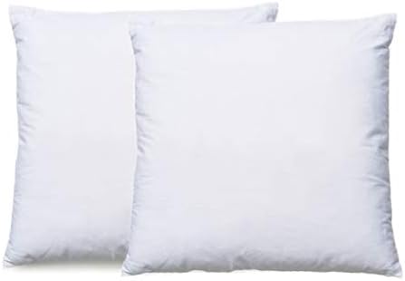 Amazon Com Izo Home Goods Premium Indoor Outdoor Pillows 24 X 24