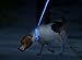 ILLUMISEEN LED Dog Collar USB Rechargeable - Bright & High Visibility Lighted Glow Collar for Pet Night Walking - Weatherproof, in 6 Colors & 6 Sizes (Blue Medium)