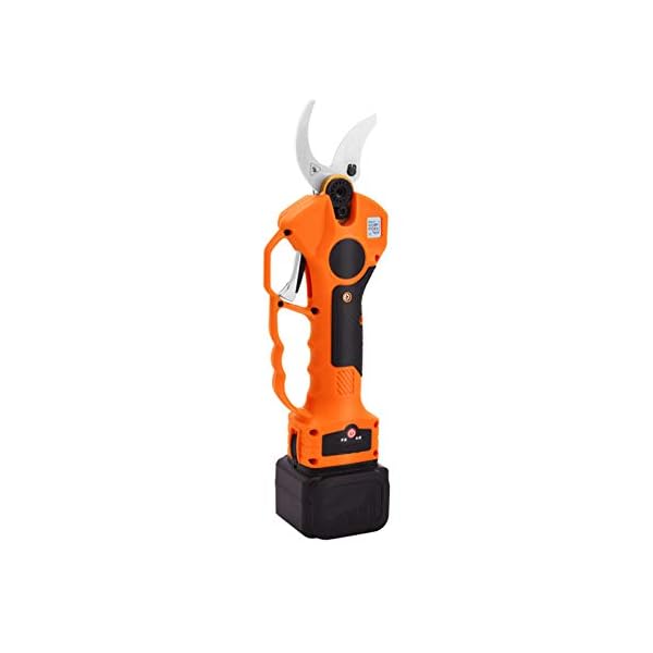 DAPAO Schnittzangen,elektrische Astscheren Mit LCD-Display, Schnittdurchmesser Von 40 Mm, Sk5-Messerkopf Und 2 PCS…