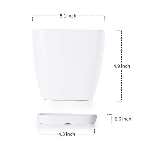 Greenaholics Succulent Pot - 5.1 Inch Square Ceramic Planter with Saucer, Flower Pot for Indoor Plant, with Drainage Hole, White