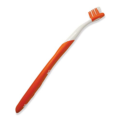 Nylabone Advanced Oral Care Cat Dental Kit Original (3 Count) Pricepulse