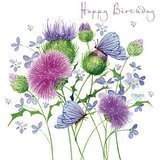 Birthday Card Scottish Thistle Birthday Card By Pizazz Nigel Quiney