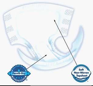 Attends Briefs with Waistbands Medium, Pack/22 by Attends Healthcare Products Corp