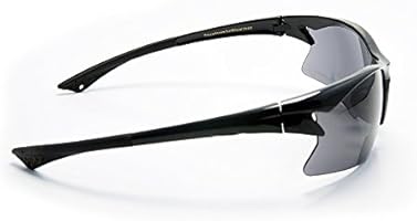 sunglasses with reading inserts