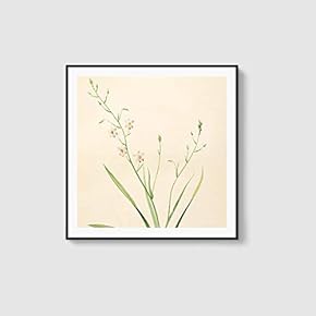 Framed Canvas Home Artwork Decoration Beautiful Flower Canvas Wall Art for Living Room, Bedroom - 16x16 inches