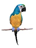 All Seas Imports Complete Handcrafted Ultra Lightweight Parrot with Real Feathers/Bendable FEET!