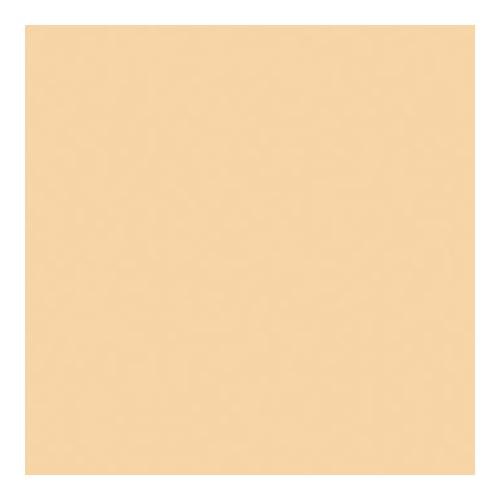 Rosco Roscolux Pale Gold, 20x24" Color Effects Lighting Filter