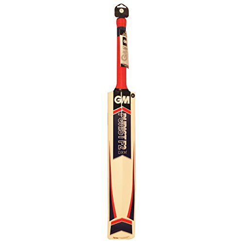 Kids English Willow Cricket Bat Purist 303 By Gunn & Moore Size 5 Junior Cricket Bat For