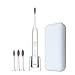 Lansung Sonic Electric Toothbrush with Smart Timer Induction Rechargeable For Kids And Adult Waterproof Grade IPX7 With 4 Replacement Heads Charging Base And Suitcase(Pink)