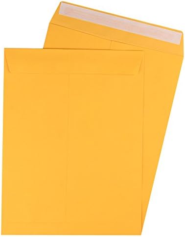 Tin Pack - 10x13-Inch Kraft Peel &amp; Seal Catalog Envelopes, 100 count (2011003) (10 x 13)