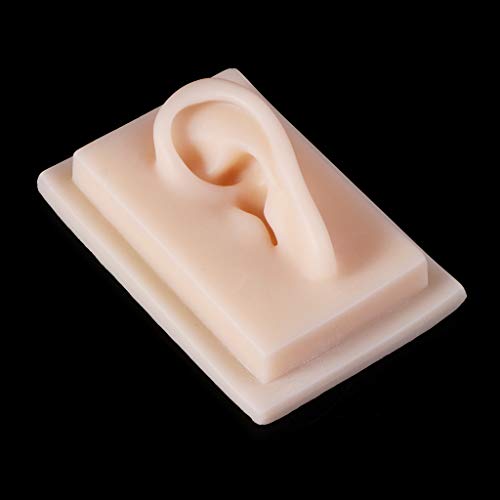 image for GUSENG Human Soft Silicone Left Ear Model Life Size Acupuncture Study 