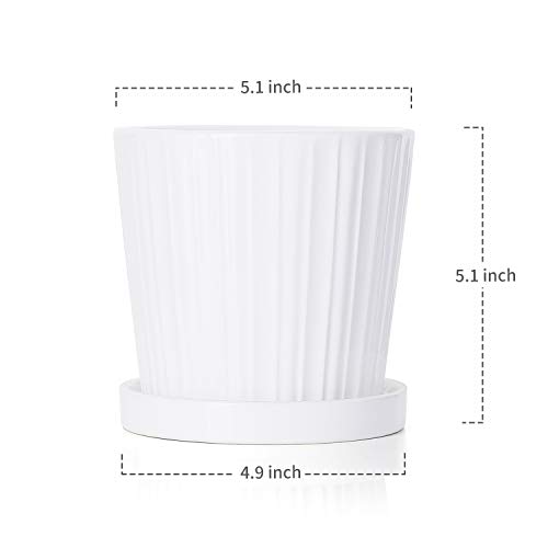 Greenaholics Plant Pots - 5.2Inch Cylinder Ceramic Planters with Connected Saucer, Pots for Succuelnt and Little Plants Set of 4, White - Thumbnail 2
