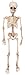 PREXTEX Tall Posable Halloween Skeleton- Full Body Halloween Skeleton with Movable/Posable Joints for Best Halloween Decoration