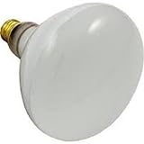 Pentair 79101900 300W, 12V R40, AmerLite / SunGlow Light Flood Lamp Bulb
