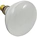 Jandy R0450504 , 500 Watt 120 Volt, R40 Light bulb for Zodiac Jandy Pool Pool/Spa Flood Lamp
