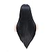 Fani Black Wig Long Straight Middle Part Synthetic Hair Wig Costume Fascinating Women Wig with Free Wig Cap (Black)