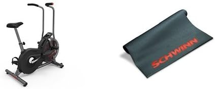 Schwinn AD2 Airdyne Bike