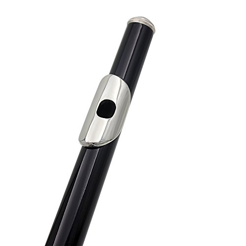 Anmas Home 16 Key Closed Hole C Flute With Case,Cleaning Rod,Cloth,Joint Grease and Screw Driver (Black)
