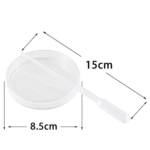 ToToT 10pcs Disposable Plastic Petri Dish 90x15mm with 5 2ml Thickened Plastic Transfer Pipettes for School Science Fair Project and Party - Thumbnail 3