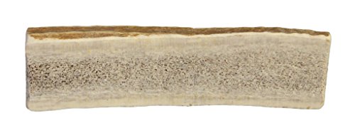 Best how to stop a puppy from chewing carpet