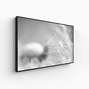 Canvas Wall Art for Living Room, Bedroom Monochrome Plants Framed Canvas Prints for Home Decoration Ready to Hang - 16x24 inches
