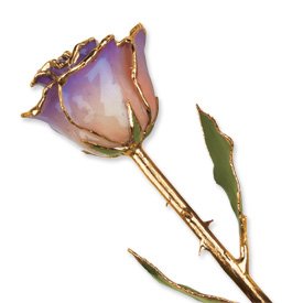 White & Blue Opal Long Stem Dipped 24K Gold Trim Genuine Rose in Gift Box