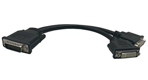 CGTime DMS-59 to DVI Splitter Cable Connector For Dual Monitor Setups or as a DVI Adapter Y Cord Dongle-10inch