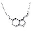 Pewter Serotonin Molecule Cast Necklace, Serotonin necklace sterling silver chain Gift packaged with informational card