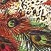 Ultra Soft Printed Leggings - Premium Quality - Regular and Plus Size - 40 New Designs by Conceited (Small/Medium (0 - 12), Feather Multi)