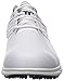 FootJoy Men's Fj Arc Sl-Previous Season Style Golf Shoes