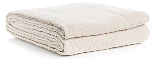 Cleaning Solutions 79109 9' x 12' Heavy Duty All PurposeÂ Cotton Canvas Drop Cloth, 2 Pack